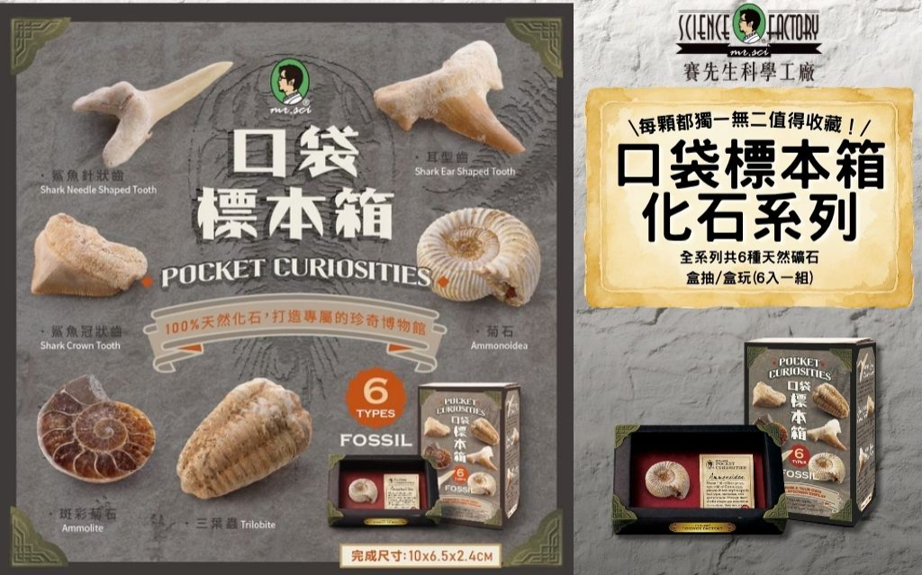 回饋方案圖片